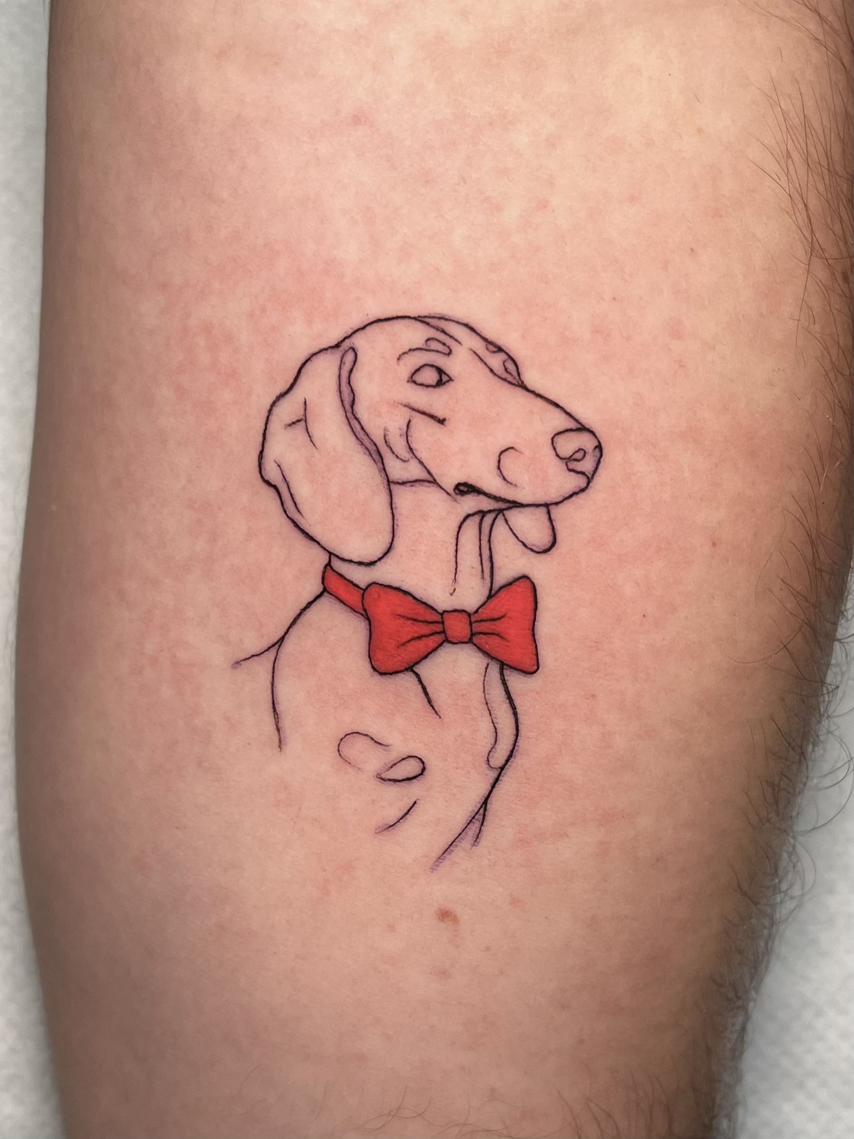 Tailor tattoo - Fine Line